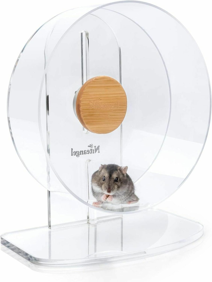 Small Animal Niteangel | Niteangel Silent Hamster Exercise Wheel - Dual-Bearing Quiet Spinning Acrylic Hamster Running Wheel For Hamster Gerbils Mice Degus Or Other Small Animals (Medium - Wider Version)