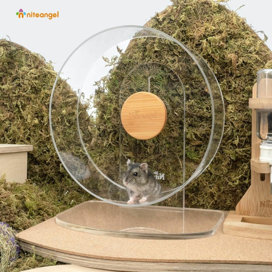 Small Animal Niteangel | Niteangel Silent Hamster Exercise Wheel - Dual-Bearing Quiet Spinning Acrylic Hamster Running Wheel For Hamster Gerbils Mice Degus Or Other Small Animals (Medium - Wider Version)