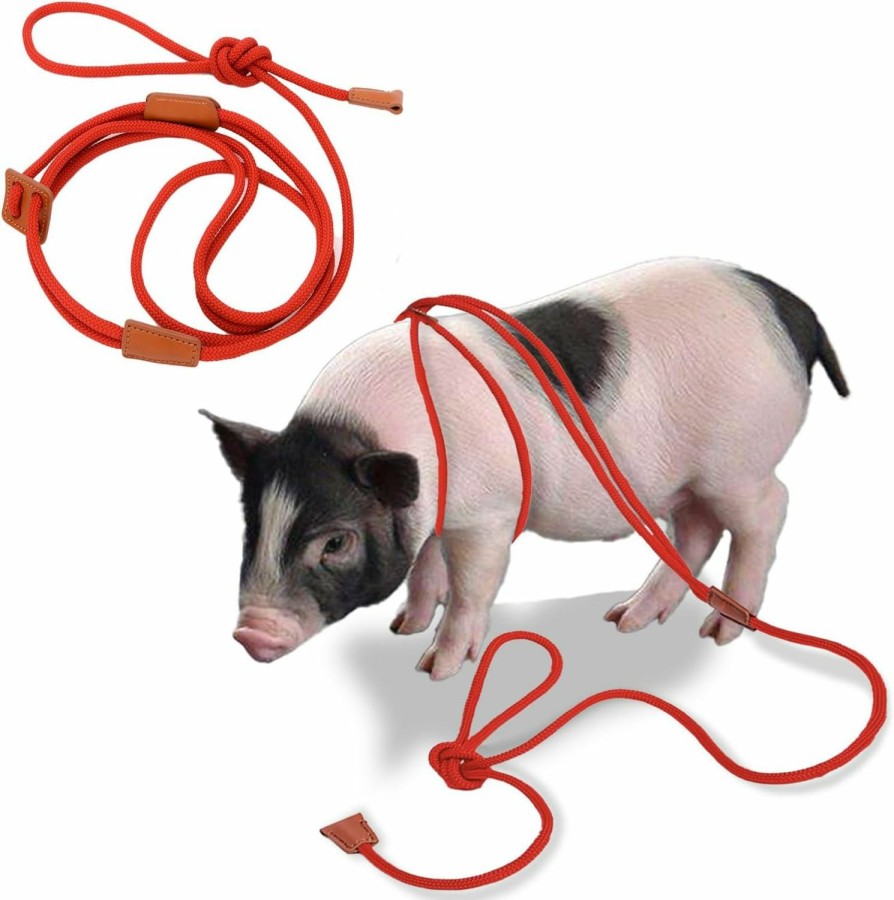 Small Animal Qigeneimu | Qigeneimu Mini Pig Harness And Leash, Adjustable Pig Harness Infinity Style Pig Supplies For Walking And Jogging Pets Also Fits Large, Medium And Small Piggy And Other Small Animals Brown