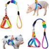 Small Animal WoYous | Woyous Mini Pig Harness, 2 Pieces Adjustable Small Pig Harness With Leash Set Pet Pig Harness Supplies Harness Set For For Hog Piggy Rabbit Small Animals Walking Jogging (M, Pink And Blue)