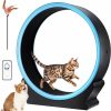 Small Animal HICHEE | Hichee Cat Exercise Wheel With Led Light, 28Db Low Noise Cat Wheels For Indoor Cats, Cat Running Wheel, Lock Pin And Silent Runway