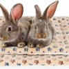 Small Animal Rypet | Rypet Small Animal Bed 2Pcs - Rabbit Bed House Winter Warm Fleece Sleep Pad For Squirrel Hedgehog Bunny Chinchilla And Other Small Animals, Random Color