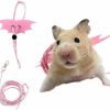 Small Animal Meow&Woof | Small Animal Harness And Leash Set For Hamsters, Lizards, And Bearded Dragons - Secure, Adjustable, And Comfortable Walking Accessory