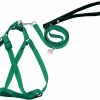 Small Animal Preferhouse | Bird Harness And Leash Kit Adjustable Anti-Bite, Fit For Large Medium Birds, Macaw,Budgerigar, Cockatoo, African Grey, And Reptiles, Lizards(Red Large)