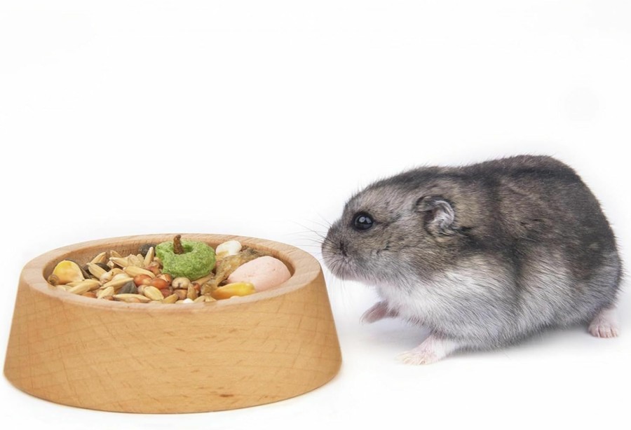 Small Animal Rubor | Rubor Hamster Food Bowl, Wooden Guinea Pig Food Dish Feeding Bowl For Small Animal Dwarf Hamster Syrian Gerbil Mice Degu Chipmunk Squirrel Hedgehog (Large)