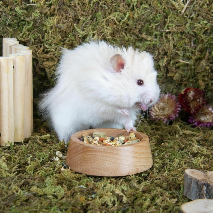 Small Animal Rubor | Rubor Hamster Food Bowl, Wooden Guinea Pig Food Dish Feeding Bowl For Small Animal Dwarf Hamster Syrian Gerbil Mice Degu Chipmunk Squirrel Hedgehog (Large)