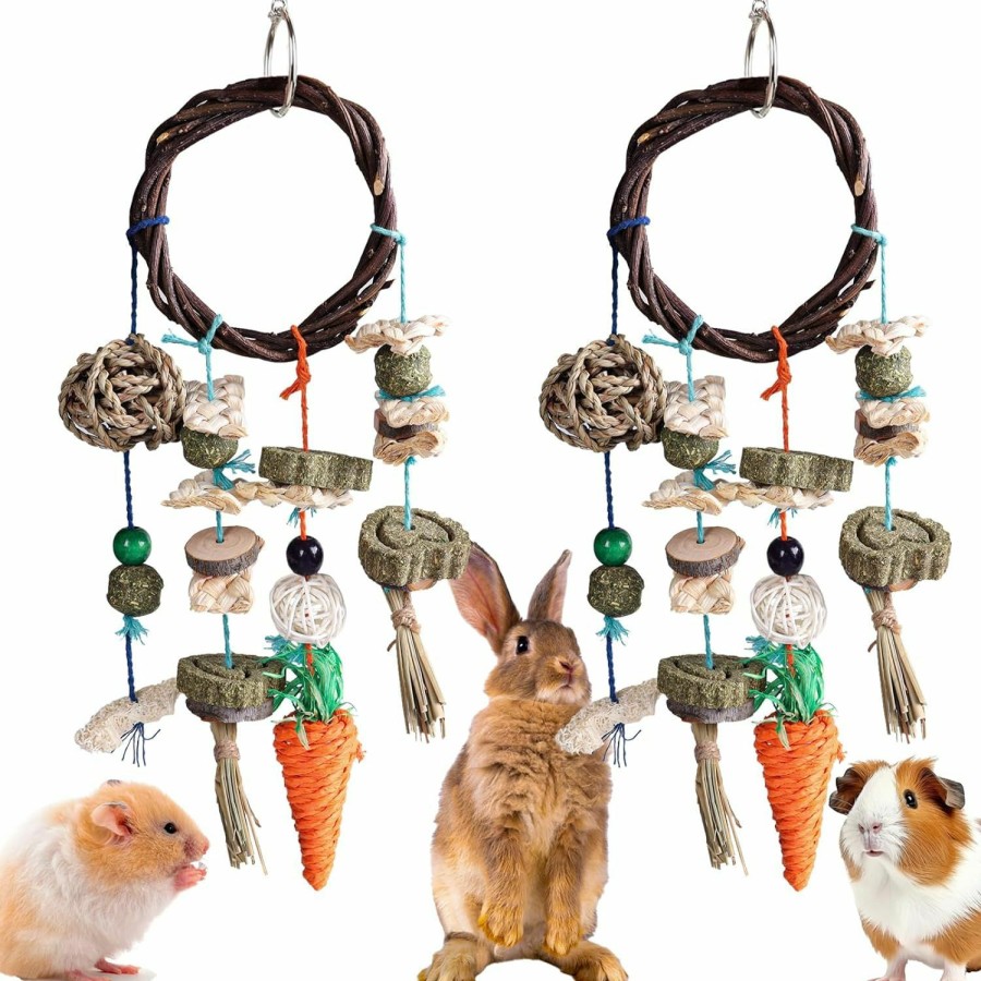 Small Animal Grddaef | Grddaef Rabbit Chew Toys, Bunny Cage Hanging Toys Rattan Ring Treats Grinding Teeth For Rabbit Guinea Pig Chinchilla Hamster Ferret