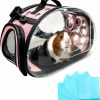 Small Animal BNOSDM | Bnosdm Small Animal Carrier Bag Portable Guinea Pig Carrying Case With 5Pcs Disposable Underpads Breathable Hedgehog Travel Cage Transparent Outdoor Package For Chinchilla Bird Squirrel