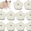 Small Animal Hamiledyi | Hamiledyi Hamster Chew Toy Lava Teeth Grinding Square Stone For Hamsters Chinchillas And Rabbits Mineral Stone Calcium Chew Toy For Small Animal(Pack Of 10)