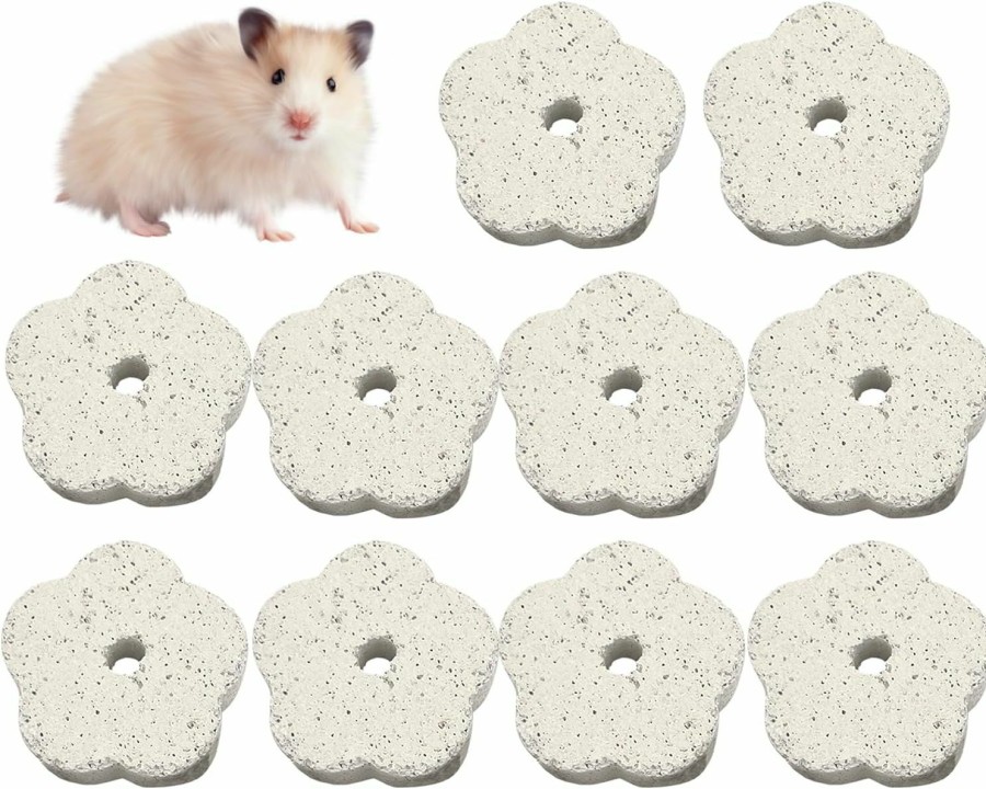 Small Animal Hamiledyi | Hamiledyi Hamster Chew Toy Lava Teeth Grinding Square Stone For Hamsters Chinchillas And Rabbits Mineral Stone Calcium Chew Toy For Small Animal(Pack Of 10)