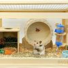 Small Animal BNOSDM | Bnosdm Wooden Hamster Cage And Habitats Transparent Small Animal Cages With Top Ventilation Syrian Dwarf Hamsters Mice Hutch Exercise Play House(19.6 * 11.8 * 11.8In)