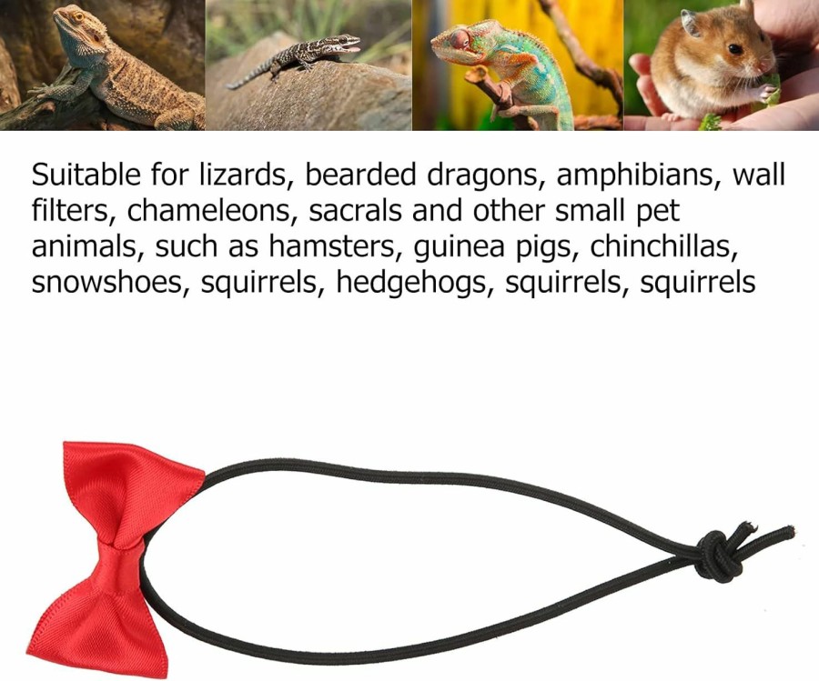 Small Animal Zerodis | Lizard Bowtie Set, Bearded Dragon Bowtie Clothes Set Adjustable Harness And Leash Bow Harness Set Bearded Dragon Lizard Leash Harness For Lizard Reptiles(Red Bow Tie)