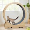 Small Animal EXQ Home | Exq Home Cat Exercise Wheel For Indoor Cats, Diameter 39.4\" Running Wheel With Locking Mechanism, Sturdy Noiseless Treadmill Roller With Carpeted Runway, Loss Weight Device Sports Equipment For Pets