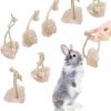 Small Animal Hamiledyi | Himalayan Small Pets Lick Salt Block On Rope Natural Small Animal Mineral Salt Block Chew Toys With Hanging Rope Rabbit Mineral Salt Chew Treat Supplies For Bunny Chinchilla Hamster Ferret (8Pcs)