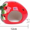 Small Animal CHUQIANTONG | Hamster Hideout Ceramic Adorable Cartoon Shape Hamster House Chinchilla Mini Hut Small Animal Hideout Cave Cage Accessories (Strawberry)