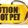 Small Animal Yellow Dog Design | Yellow Dog Design Big Dog 2\": Caution Do Not Pet Collar | Large 18\" - 28\", 2\" Wide, Yellow, (Pet222)