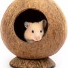 Small Animal andwe | Andwe Coconut Hut Hamster House Bed For Gerbils Mice Small Animal Cage Habitat Decor