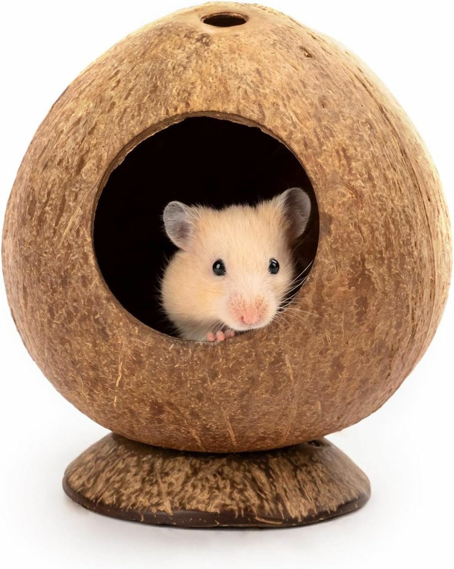 Small Animal andwe | Andwe Coconut Hut Hamster House Bed For Gerbils Mice Small Animal Cage Habitat Decor