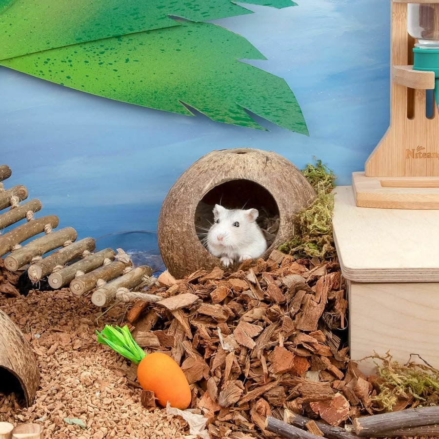 Small Animal andwe | Andwe Coconut Hut Hamster House Bed For Gerbils Mice Small Animal Cage Habitat Decor