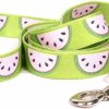 Small Animal Yellow Dog Design | Yellow Dog Design Wonderful Watermelons Ez-Grip Dog Leash-With Comfort Handle-Large-1\" And 5 Feet (60\") Long