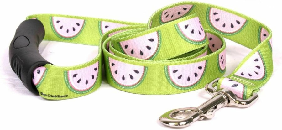 Small Animal Yellow Dog Design | Yellow Dog Design Wonderful Watermelons Ez-Grip Dog Leash-With Comfort Handle-Large-1\" And 5 Feet (60\") Long