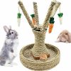 Small Animal Hamiledyi | Hamiledyi Pet Rabbit Toy Tree Bunny Fun Chew Toy Rattan Grass Scratcher Climbing Tree Play Carrot Toy For Small Animal