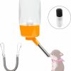 Small Animal SOFYIALI | Sofyiali Guinea Pig Water Bottle, Rabbit Water Bottle No Drip, 250Ml Large Capacity With A Filter And A Spring Holder, Suitable For Hamsters, Guinea Pigs, Ferrets, Hedgehogs, Rabbits