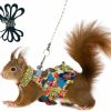 Small Animal CAREUPET | Squirrel Leash And Harness Set, Squirrel Traction Rope Strap, Ferret Squirrel Harness Vest, Adjustable Flora Small Animal Harness Vest For Ferret, Squirrel, Dwarf Chinchilla, Guinea Pig, Fancy Rat