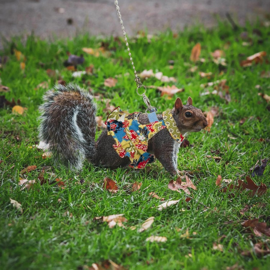 Small Animal CAREUPET | Squirrel Leash And Harness Set, Squirrel Traction Rope Strap, Ferret Squirrel Harness Vest, Adjustable Flora Small Animal Harness Vest For Ferret, Squirrel, Dwarf Chinchilla, Guinea Pig, Fancy Rat