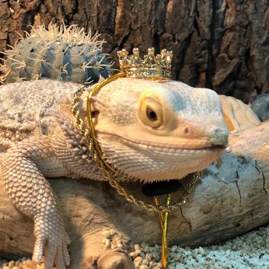 Small Animal SEIS | Seis 2 Pcs Bearded Dragon Crown And Necklace Metal Lizard Outfit Halloween Small Animal Clothes Harness For Chameleon Gecko Anole Iguana Amphibians (Black)