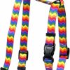 Small Animal Yellow Dog Design | Yellow Dog Design Rainbow Chevron Roman Style H Dog Harness, Large-1\" Wide And Fits Chest Of 20 To 28\"