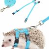 Small Animal Soezy | Soezy Adjustable Hedgehog Harness For Training Playing Traction Rope Small Animal Pet Outdoor Play (Blue, Small)