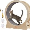 Small Animal VEVOR | Vevor Cat Wheel Exerciser, 29.5 Inch Cat Treadmill For Indoor Cats, Cat Running Excercise Wheel With Detachable Carpet And Cat Teaser For Running/Walking/Training, Suitable For Most Cats