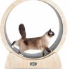 Small Animal MAXIMA | Maxima Cat Exercise Wheel 35\"-Australian Brand- Assembly Video Included, Organic Wooden Materials, Indoor Cat Treadmill