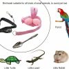 Small Animal Xiapumeth | Bird Harness And Leash Kit, Xiapumeth Aviator Bird Harness, Cockatiel Leash And Harness, Parakeet Leash And Harness, Small Bird Harness And Leash Parakeet, With Feeding Spoon(Pink S)