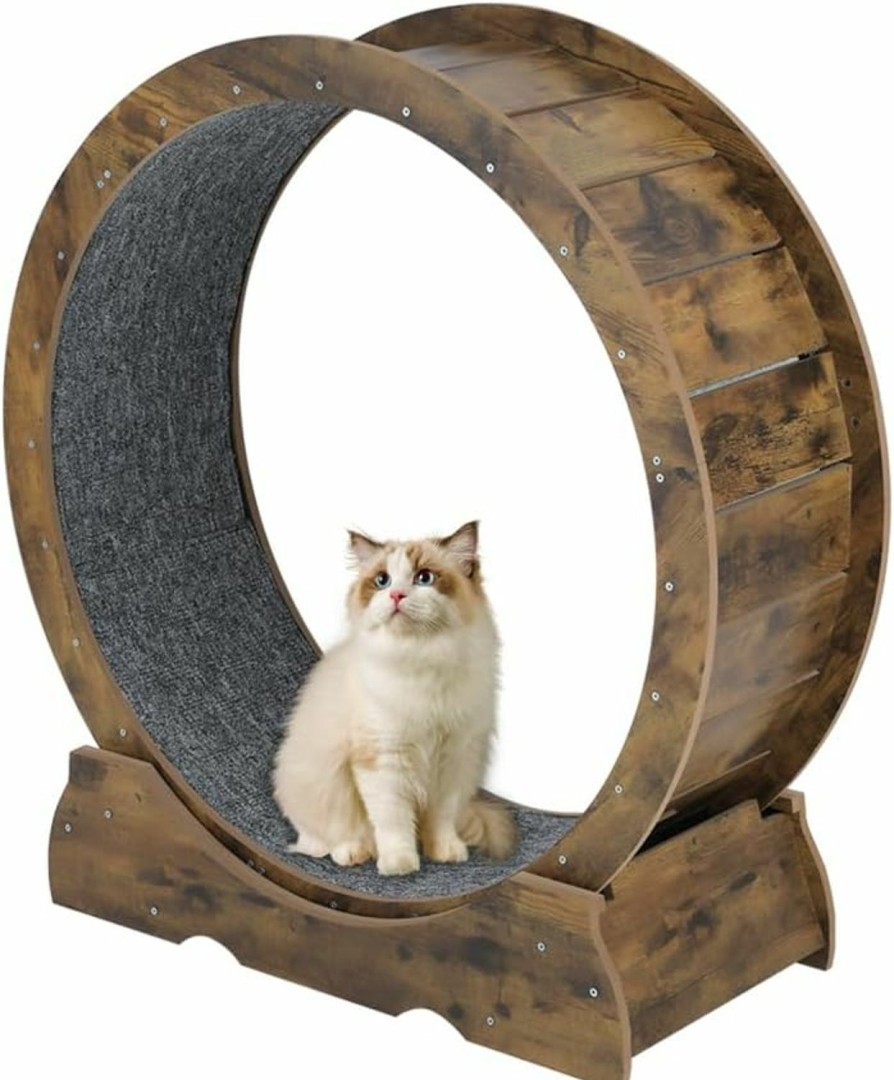 Small Animal ARADNEO | Aradneo Cat Wheel,Cat Running Wheel ,Large Cat Wheel Exercise For Indoor Cats , Cat Exercise Wheel ,Cat Treadmill Wheel With Locking Mechanism (M, Nature)