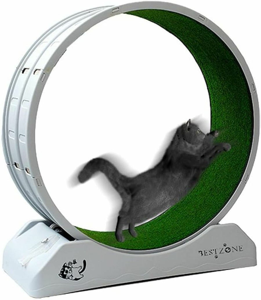 Small Animal BESTZONE | Bestzone Cat Exercise Wheel, 31.5 In Diameter, For Indoor Cats, With Locking Mechanism, Ultra-Quiet, Promotes Healthy Exercise