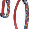 Small Animal LupinePet | Lupinepet Originals 1/2\" Lollipop 12-20\" H-Style Harness For Small Pets