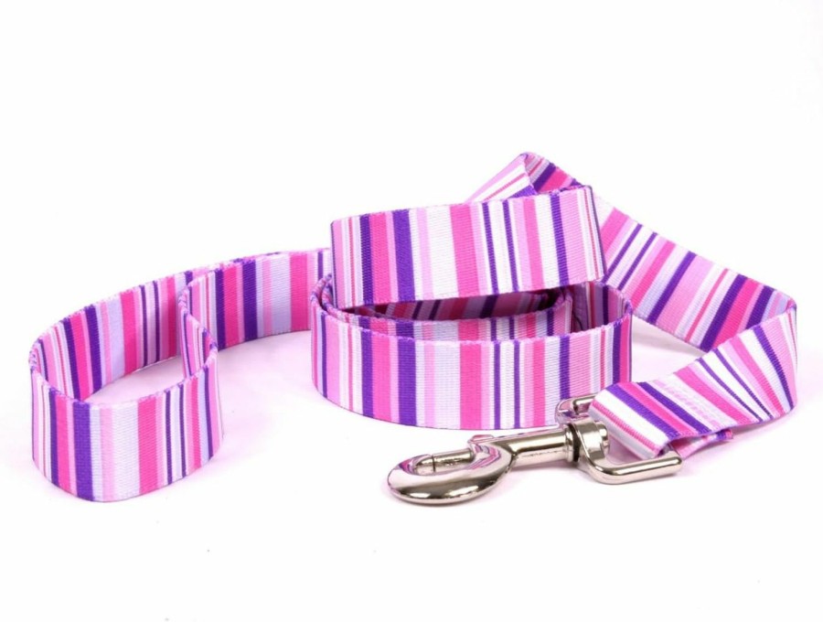 Small Animal Yellow Dog Design | Yellow Dog Design Pink Stripes Dog Leash, Small/Medium-3/4 Wide And 5' (60\") Long