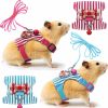 Small Animal SATINIOR | 2 Pieces Hamster Harness And Leash Set For Walking, Small Guinea Pig Clothes With Bowknot Bell, No Pulling Comfort Padded Vest Striped For Guinea Pig Hamster Ferret, Small Animals (Blue, Black,S)