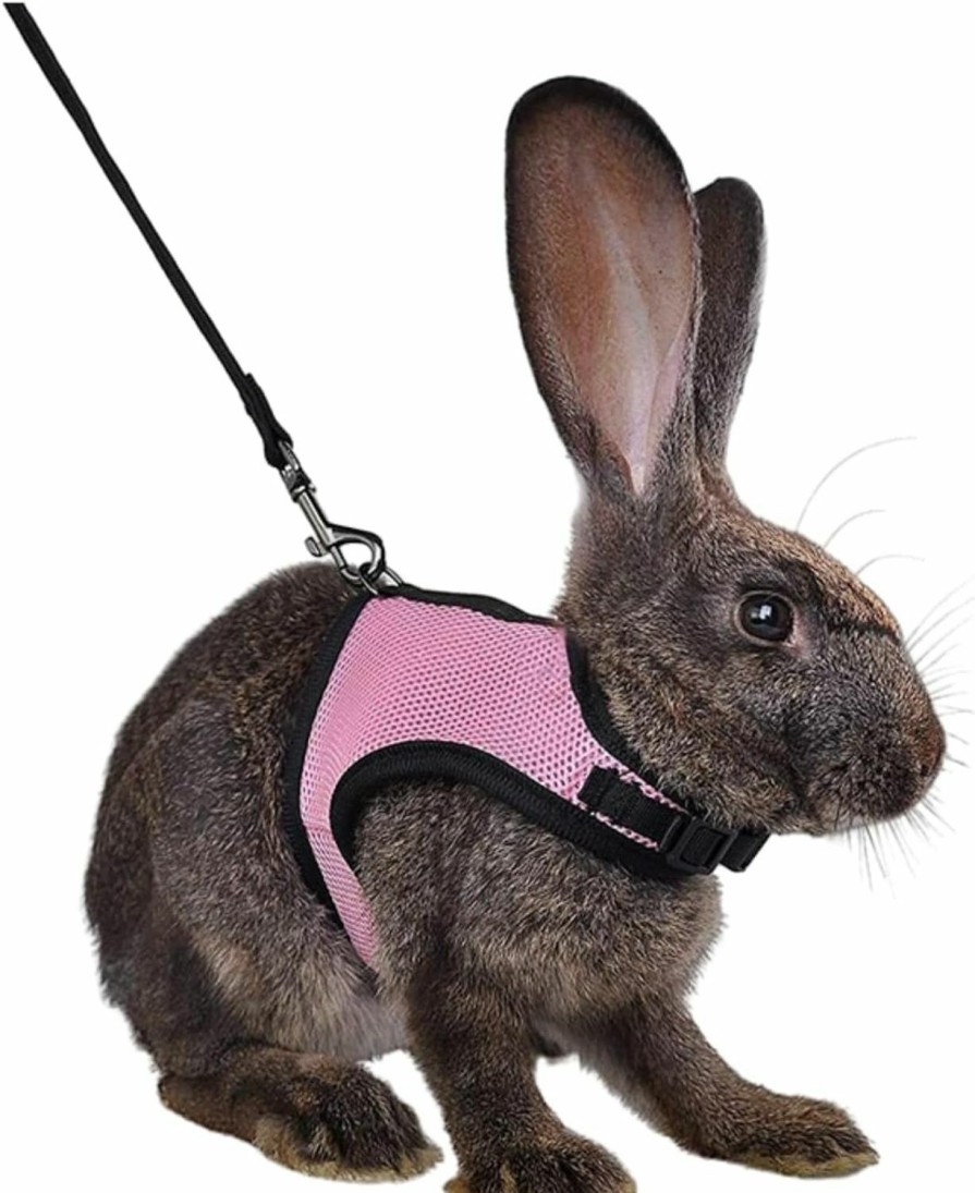 Small Animal MANON ROSA | Manon Rosa Rabbit Harness And Leash Set - Adjustable Escape-Proof Training And Walking Gear For Guinea Pigs Bunnies Chinchillas Hamsters Ferrets Rats Kittens And Small Dogs Puppies Cats (Blue,S)