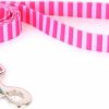 Small Animal Yellow Dog Design | Yellow Dog Design Standard Lead, Pink/Pink Stripes, 1\" X 60\" (5 Ft.)