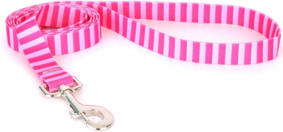 Small Animal Yellow Dog Design | Yellow Dog Design Standard Lead, Pink/Pink Stripes, 1\" X 60\" (5 Ft.)