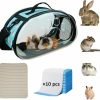 Small Animal Puledow | Guinea Pig Carrier, Hamster Carrier Portable Breathable Rabbit Bag For Bunny Hedgehog Marten Small Transparent Animal Carrier (Black)