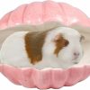 Small Animal WCDJOMOP | Small Animal Hideout Extra Large Ceramic Shell Shape Guinea Pig House Chinchilla Igloo Habitat Hut Cave Summer Bed Cage Accessories For Hedgehog Rabbit Hamster Gerbil Rat (Xl (9.5''X7''X7.9''), Pink)