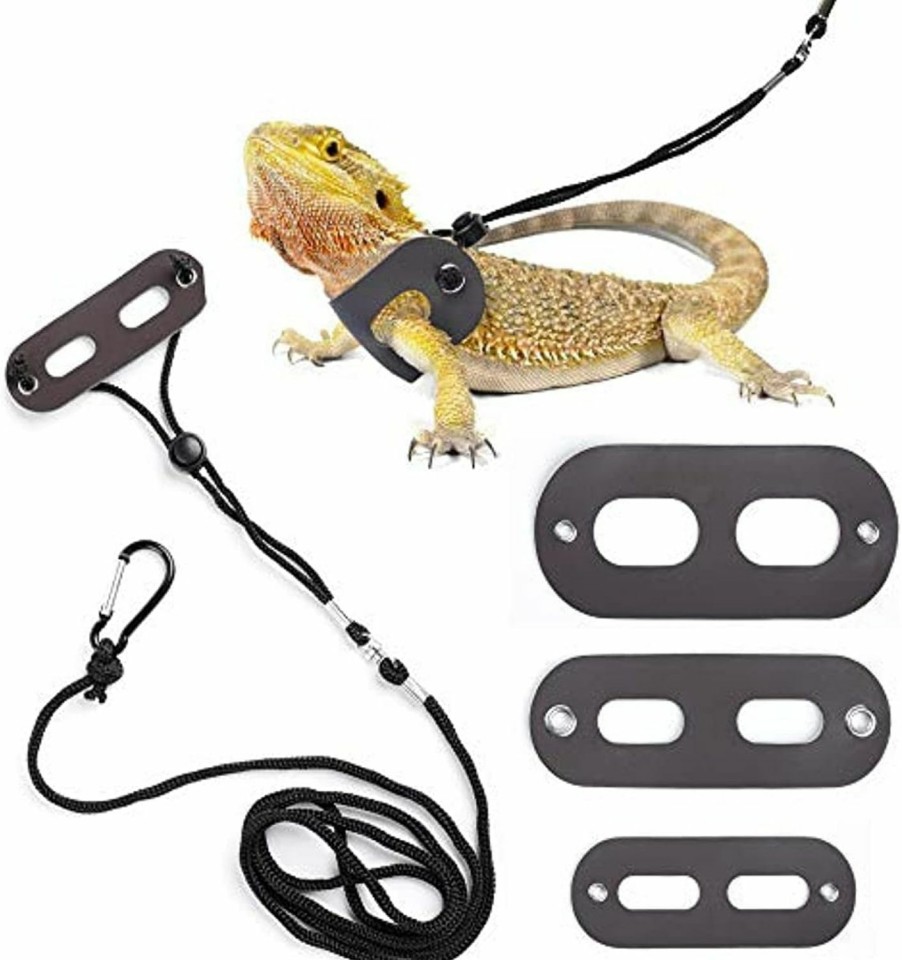 Small Animal Generic | Bearded Dragon Harness And Leash Adjustable(S,M,L, 3 Pack) -Iguana Leash And Harness,Lizard Leash Bearded Dragon,Lizard Walking Rope,Bearded Dragon Leash,Reptile Leash And Harness For Small Lizar