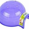 Small Animal Ware mfg. inc. bird/sm an | Ware Manufacturing Pig Loo, Large, Assorted Colors