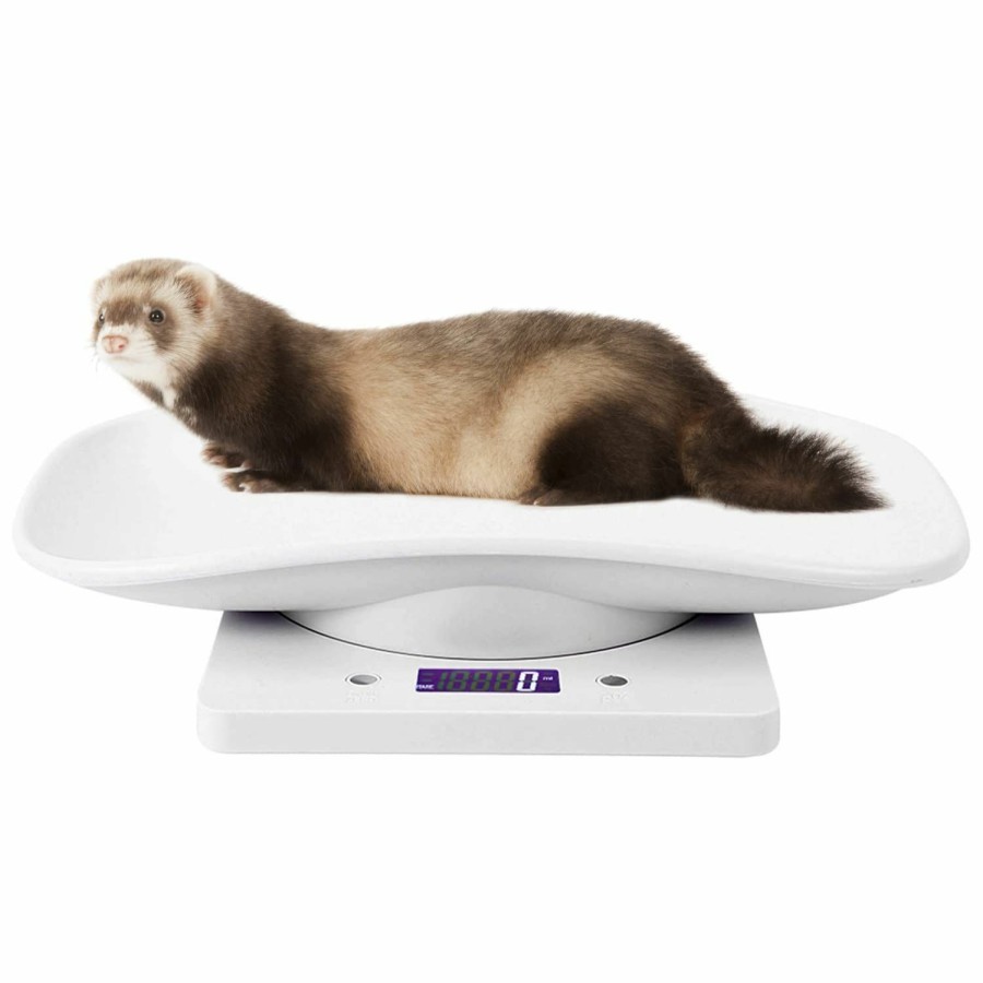 Small Animal HAICHEN TEC | Ferrets Digital Pet Scale Precision Lcd Display Small Animal Weight Scale With Removable Tray For Kitten, Rabbit, Guinea Pig, Hedgehog, Hamster, Chick, New Born Pets (White)