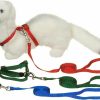 Small Animal Ferret Frenzy | Petco Deluxe Ferret Harness And Lead Set, Color:Assorted By Ferret Frenzy