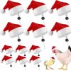 Small Animal Chunful | 12 Pcs Chicken Christmas Hats For Hens Mini Chicken Santa Claus Hat With Adjustable Chin Strap Small Animals Santa Hat For Hens Chicken Rooster Goose Duck Parrot Christmas Holiday